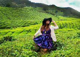 Check spelling or type a new query. 3 Selections Of Cameron Hotels To Make You Feel Like Home Live Less Ordinary Bangkok Based Bloggers Travelling In Asia Beyond