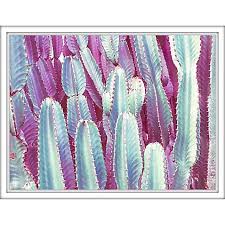 Products may be marked down by up to 50% during annual sales. Perfect For Southwest Or Tropical Decorating The Colored Cactus Print Wall Art From Ptm Images Showcases The Graphic Be Wall Art Prints Wall Prints Ptm Images