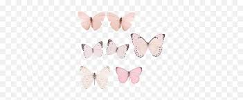 1000 x 1000 png 565 кб. Collection Of Free Transparent Butterfly 1590589 Png Pastel Blue Butterflies Aesthetic Pink Butterfly Png Free Transparent Png Images Pngaaa Com