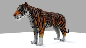 Fully rigged and animated tiger 3d. 3d Model Royel Bengal Tiger Cgtrader