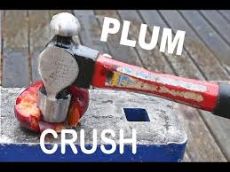 Plum Hammer full specifications, pros ...