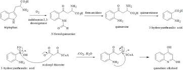 Acid soln (alkaloidal salts)make alkaline extract with immisicible solventresidual organic fraction (pigments, fats & weak bases or chloroform soluble alkaloids sulphates)residual aq. Quinolines Isoquinolines Angustureine And Congeneric Alkaloids Occurrence Chemistry And Biological Activity Intechopen