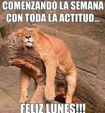 Ja Ja Y Con Lluvia Tras Lluvia Frases Graciosas De Buenos Dias Imagenes Chistosas Para Whatsapp Buenos Dias Divertido
