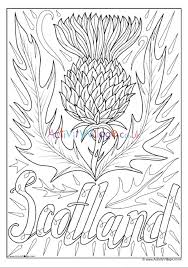 Whether you come from scotland, are planning to visit scotland, or are studying scotland for a theme unit with the kids, we hope we've provided you with some relevant and fun colouring pages to print and enjoy. Thistle National Flower Of Scotland Colouring Page