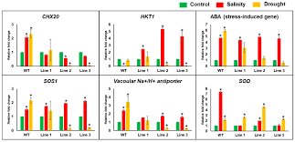 Use an anonymous phone service to chat via your mobile. While Dating A Girl What Do I Text 100 Free New Dating Sites Kanzlei Umbach