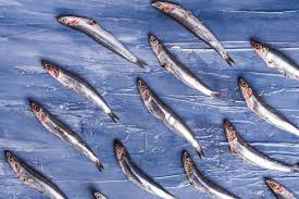 Un secondo di pesce dal sapore fresco e semplicissimo da preparare, procuratevi degli ingredienti di primissima qualità e farlo sarà uno gioco da ragazzi.e, se volete risparmiare tempo, dite al vostro pescivendolo di aprire le alici a libro, così il piatto è praticamente fatto! Come Pulire Le Acciughe O Alici Dissapore