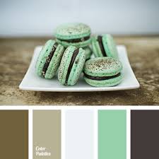Color Palette 1348 Mint Chocolate Macaron Recipe Chocolate Ganache Filling