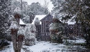 Spa cabins are located in natural bushland settings and are private and peaceful. The Waldheim Cabins Cradle Mountain Australian Traveller