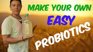probiotics lacto