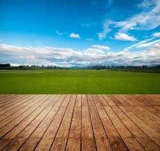 Ruwa (mandlay park) plot for sale. Procedure To Change Land Use From Agricultural To Non Agricultural Vakilsearch