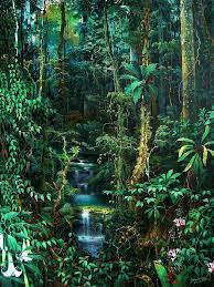Ayahuasca Jpg 720 960 Tropical Art Visionary Art Jungle Art