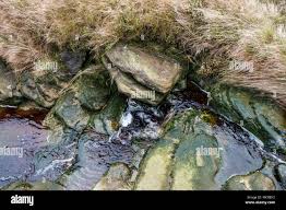 Einen Stream über das gritstone Felsen von einem kleinen Wasserfall von  oben gesehen fließt, Kinder Scout, Derbyshire, Peak District, England,  Großbritannien Stockfotografie