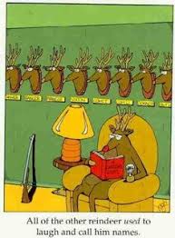 Enjoy a good clean christmas jokes, whatever time of year it is! 110 Christmas Comedy Ideas Christmas Humor Bones Funny Funny Pictures