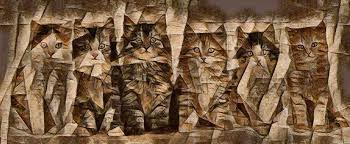 все породы кошек с фотографиями и названиями по алфавиту Porody Koshek S Fotografiyami I Nazvaniyami Porod