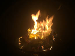 Topics covered in the film include mental illness, suburban adolescence, young love, and giant rabbits. Deeply Trivial Burn It To The Ground