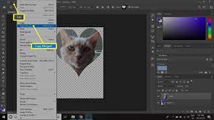 Professional diploma in photo editing. Clipping Masks With Adobe Photoshop Or Elements