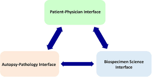 Autopsy forensic browser is a graphical interface to the sleuth kit and other analysis tools. Developing A Pan Cancer Research Autopsy Programme Journal Of Clinical Pathology