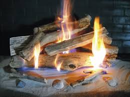 Birch Logs For Gas Fireplace Driftwood Log Set Gas Fireplace Logs Gas Fireplace Fireplace Doors