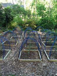 Bird Netting For Blueberries How To Make A Bird Net For Plants Recipe Plants Backyard Landscaping Green Thumb