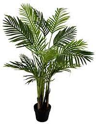 This ensures proper photosynthesis from germination to flowering. 120cm High Artificial Plants Kwai Tree For Home Indoor Outdoor Garden Decoration Amazon Ae Home