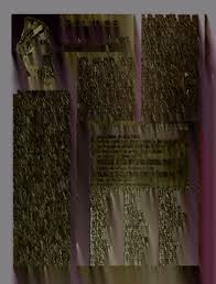 Selection Of The New College President