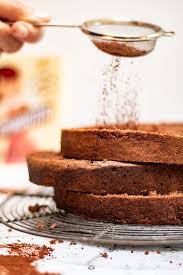 Genoise Au Chocolat Cacao Recette Facile Recette Genoise Chocolat Recette Genoise Recette Genoise Chocolat
