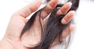 We did not find results for: Apakah Menyentuh Rambut Istri Dapat Membatalkan Wudhu Bincang Muslimah