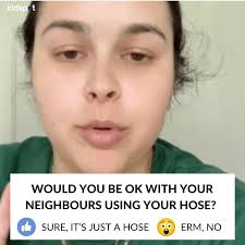 Border Collie playing with hose