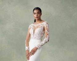 Illusion wedding dress sleeves