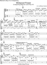 Wildwood Flower Crosspicking Tab Mandolin Songs Banjo Music Guitar Tabs Songs