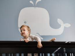Is Your Toddler Climbing Out Of His Crib
