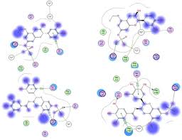 Image result for Lannea humilis