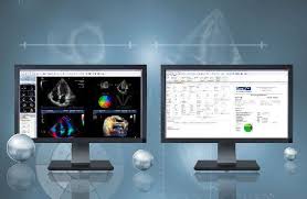 Please reference echo health's provider payment portal quick reference . Health Management And Leadership Portal Analysis Software Reporting Medical Cardiology Echo Medimatic Healthmanagement Org