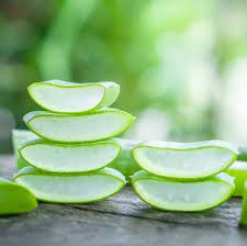 More images for how to use aloe vera leaf on face » 8 Benefits Of Aloe Vera For Skin According To Dermatologists
