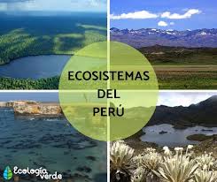 Pedro allasi es un fotógrafo apasionado por las aves, con él comunicando naturaleza logró este breve especial esperando que juntos conozcamos a las aves de. Cuales Son Los Ecosistemas Del Peru Y Sus Caracteristicas