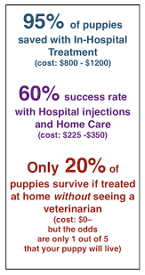I am planning on buying a puppy that is 3 months old and she has not had her shots or been dewormed yet. Treating Parvo In Dogs Vah