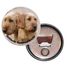 Image result for štýrský brakýř