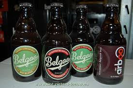 Belgoo Bier Bio Blond