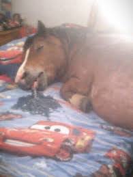 horse on lightning mcqueen bed