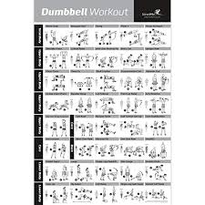 newme fitness dumbbell workout exercise poster now laminated strength training chart build muscle tone tighten home gym weight lifting