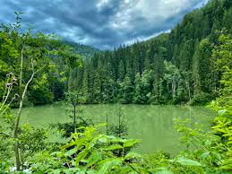 Cascada 7 izvoare e grozavă, iar apa ei e considerată a fi cea mai pură din românia. Traseu Lacul Scropoasa Traseu Cascada 7 Izvoare Camping Zanoaga Cheile Zanoagei Cheile Orzei Traseu Usor In Muntii Bucegi Suspemunte