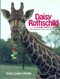 The rothschild's giraffe project, launched in the spring and supported by the giraffe conservation foundation, hopes to gather more information about the giraffe's habitats and habits in order to put conservation plans in. Daisy Rothschild The Giraffe That Lives With Me Leslie Melville Betty 9780385238960 Amazon Com Books