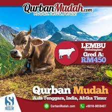 Ulama madzhab malikiyah berpendapat makruhnya memberikan daging qurban kepada orang kafir, sebagaimana kata imam malik: Billplz Fair Payment Platform