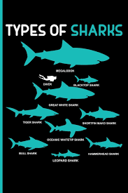 It was formerly thought to be a member of the family lamnidae and a close relative of the great white shark (carcharodon carcharias).however, it is now classified into the extinct family otodontidae. Types Of Sharks Megalodon Diver Blacktop Shark Great White Shark Tiger Shark Shortfin Mako Shark Oceanic Whitetip Shark Bull Shark Leopard Shark Hammerhead Shark Blank Lined Journal Notebook Planner Emelia Eve