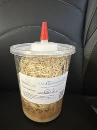 Easy Feed Dispenser Caps for Fruit Flies