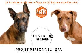 Spa auxerre 89 chien a adopter. Photographe Spa Troyes Olivier Douard Photographe