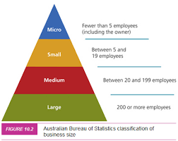 A Guide To Different Sized Businesses Students Will Learn About This Classification Of A Business During The Preliminary Sy Business Studies Business Syllabus
