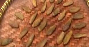 Kali ini saya yang penyuka ikan bawal n menemukan resep mbak yusra yang ada olahan ikan bawal yang di masak pakai bumbu khas aceh , n kebetulan juga ada stock. Cara Membuat Manisan Belimbing Wuluh Resep Masakan Indonesia