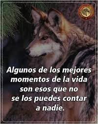Pin En Lobos