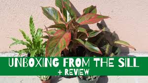 We excel at working with clients to create landscape designs that meet their specific needs. Rightplantz Conversations Farmside Landscape Design Of Sussex Nj Youtube